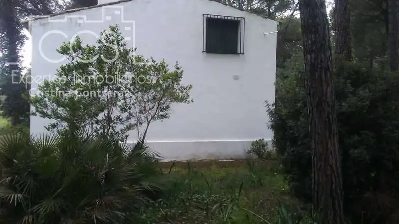 Casa rústica en venda a Almonte ciudad