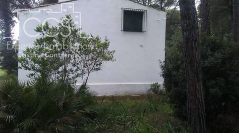 Venta de finca EN PROPIEDAD de 2.5Ha con vivienda de 80m2 construídos, en Almonte Huelva.