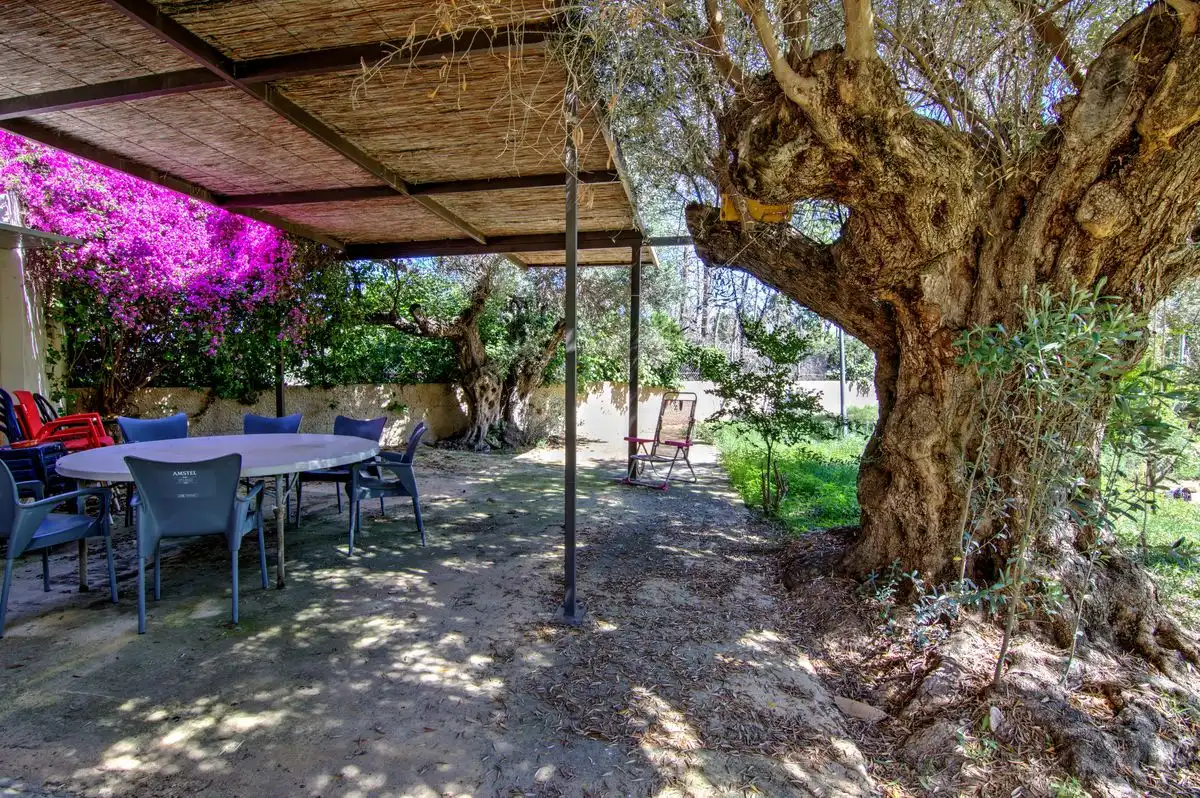 Maison avec terrasse à vendre à Carrer Riu Vinalopo, imagen 34