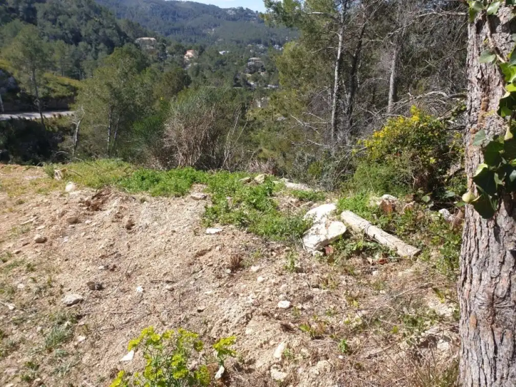 Rural land for sale in CL PIRINEUS, imagen 3