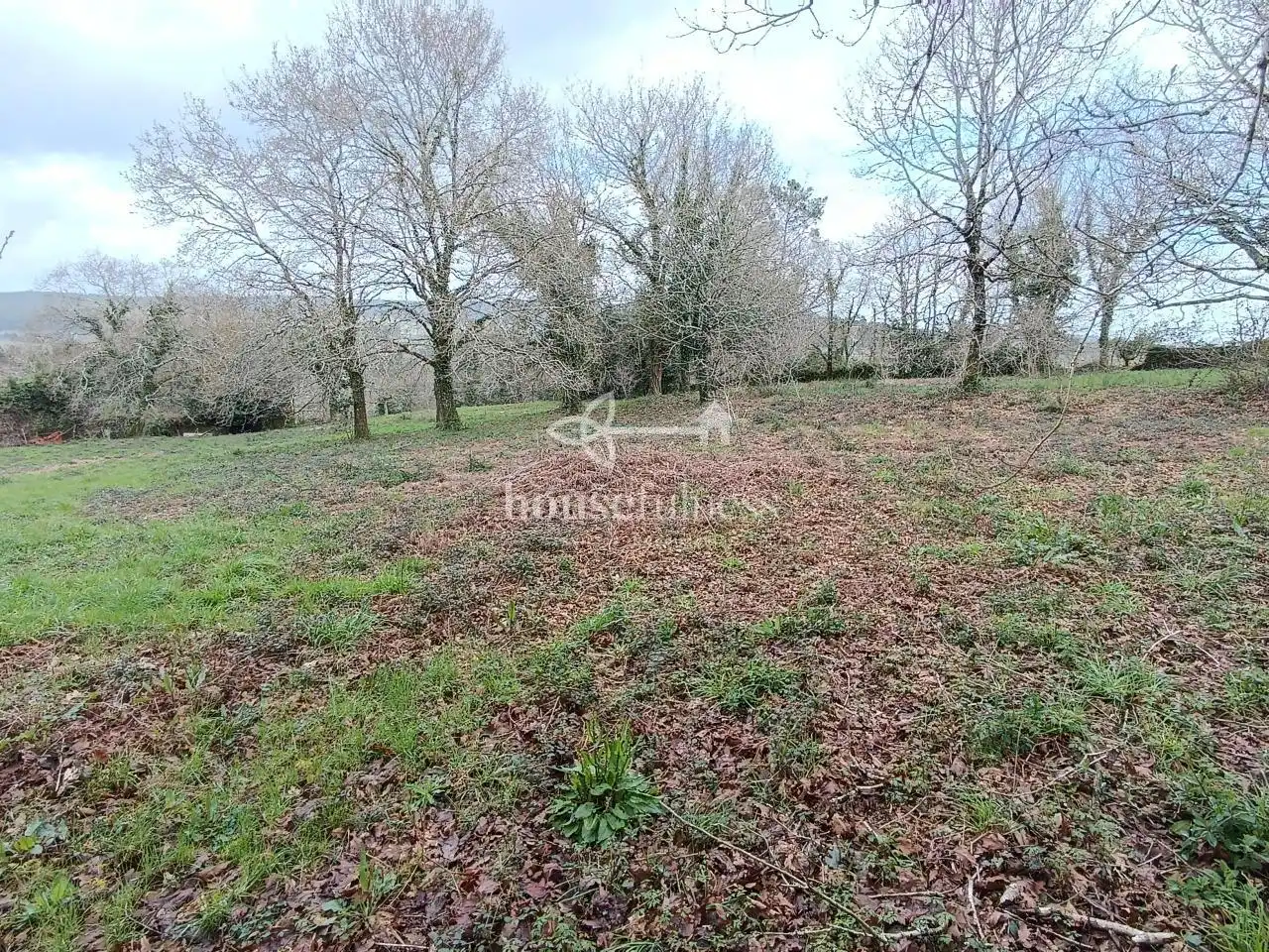 Terreni e lotti in vendita a Parroquias de Santiago, imagen 11