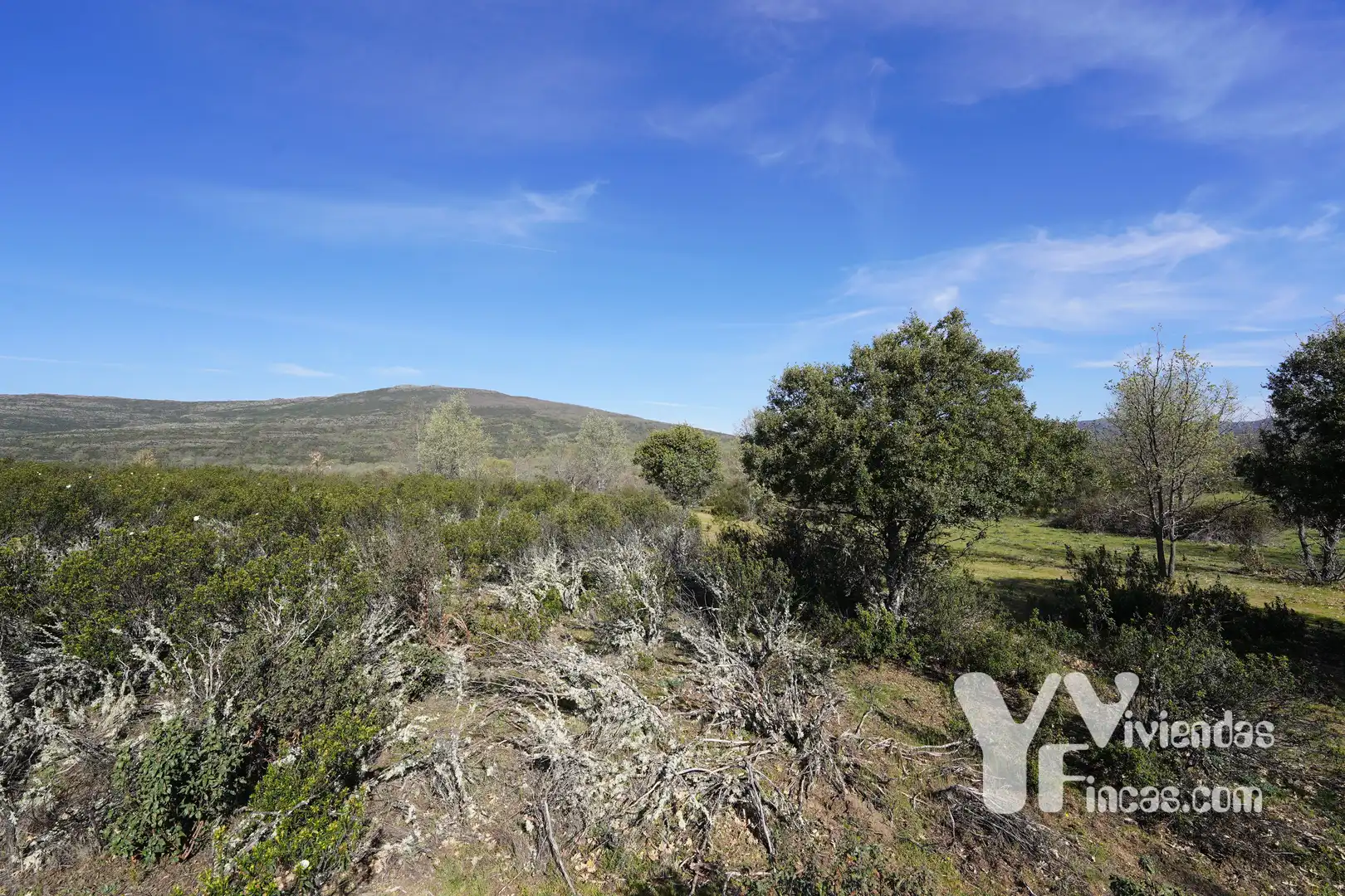 Terreno rústico en venta en Campillo de Ranas, imagen 4