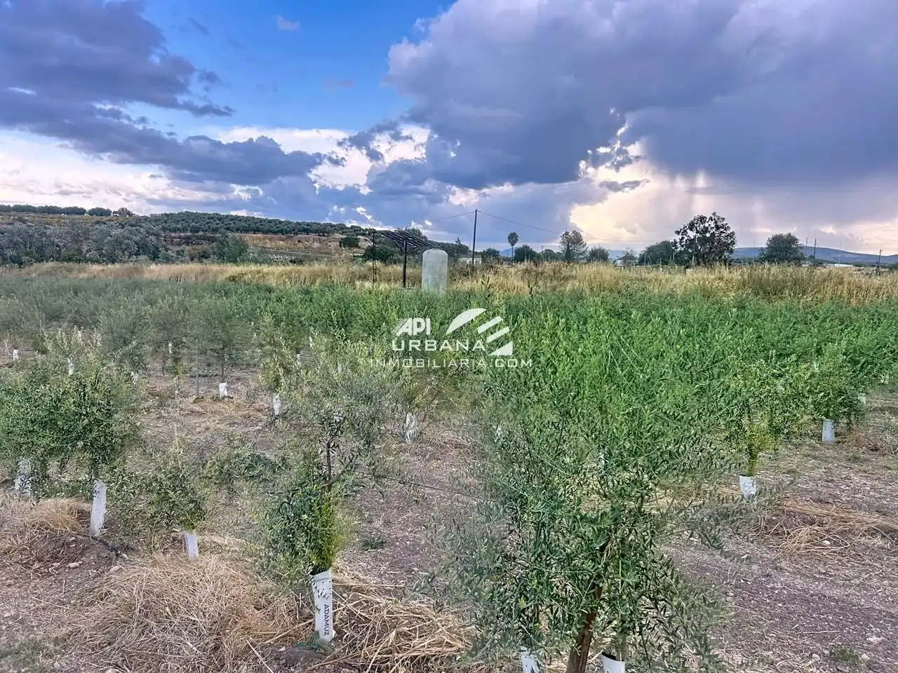 Grundstücke und Bauplätze zum Verkauf in Huertas de Monturque, imagen 4