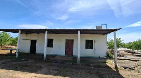 Photo 2 of Land for sale in Polígono Polígono 85 Paraje 534 Mataburras, Pedanías Sur, Utrera