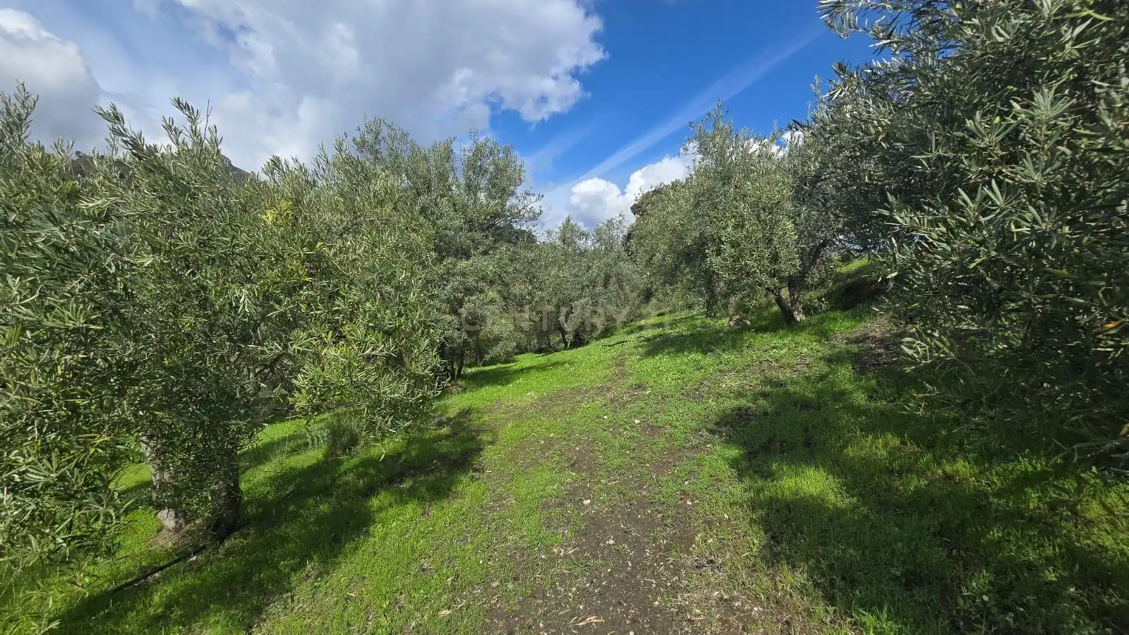 Terreno rustico in vendita a Polígono 11 Parcela 117 EL CERRILLAR. LOS GUAJARES (GRANADA), imagen 9