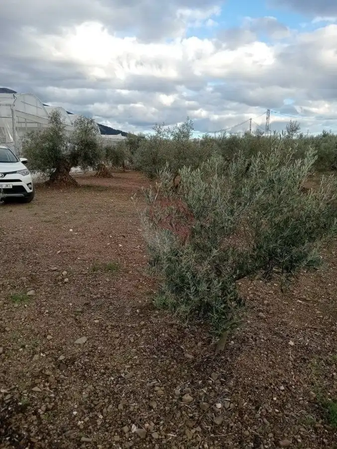 Terrenys i solars en venda a Coín, imagen 10