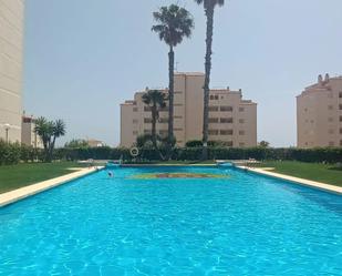 Swimming pool of Apartment for sale in Elche / Elx  with Private garden, Terrace and Jacuzzi