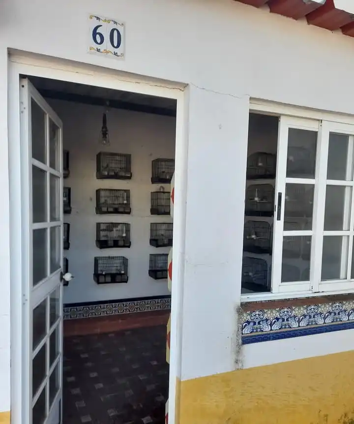 Casa en venta en Almendralejo, imagen 18