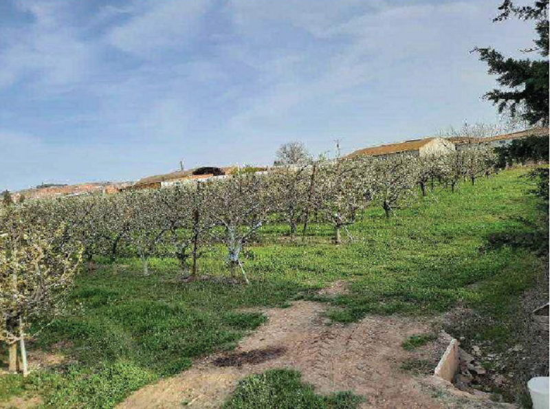 Terreny en venda en Alfaro