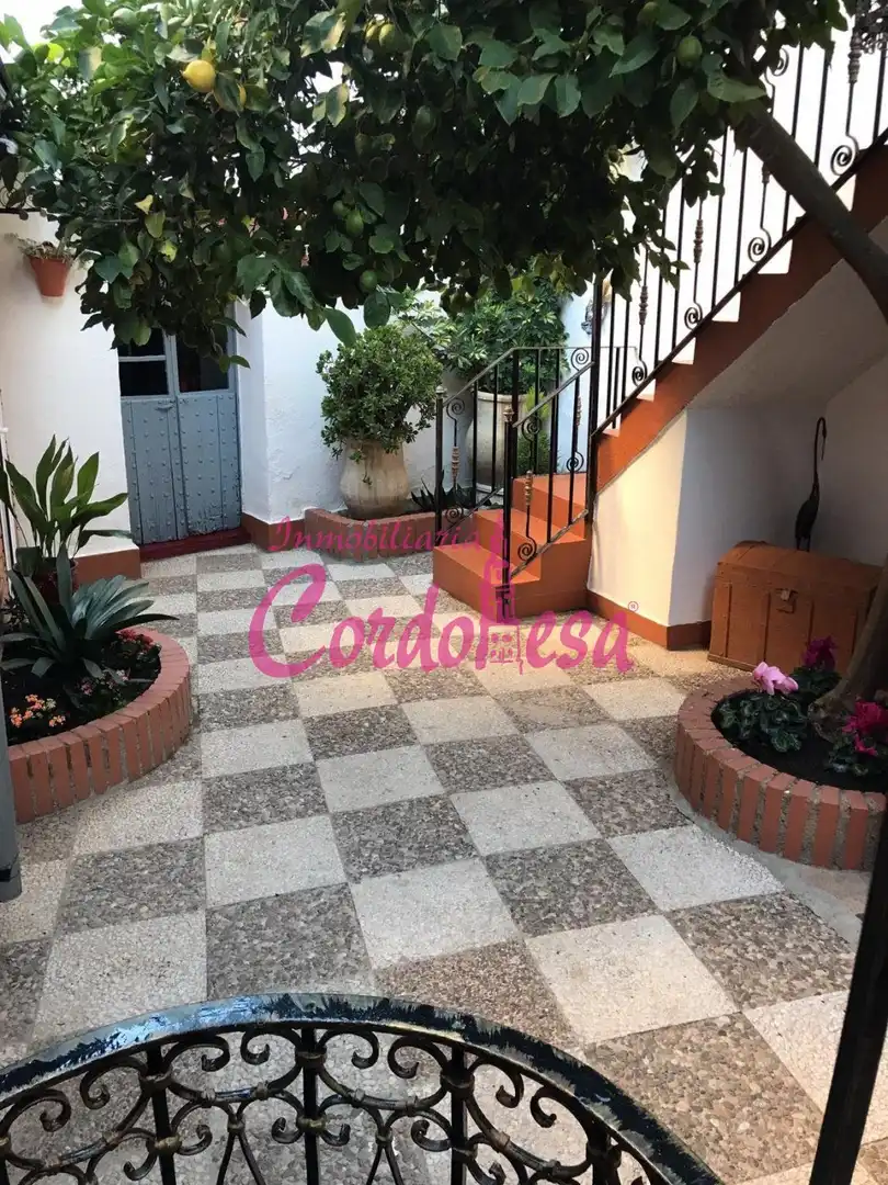 Jardín de Casa o chalet en venta en Villaviciosa de Córdoba con Terraza