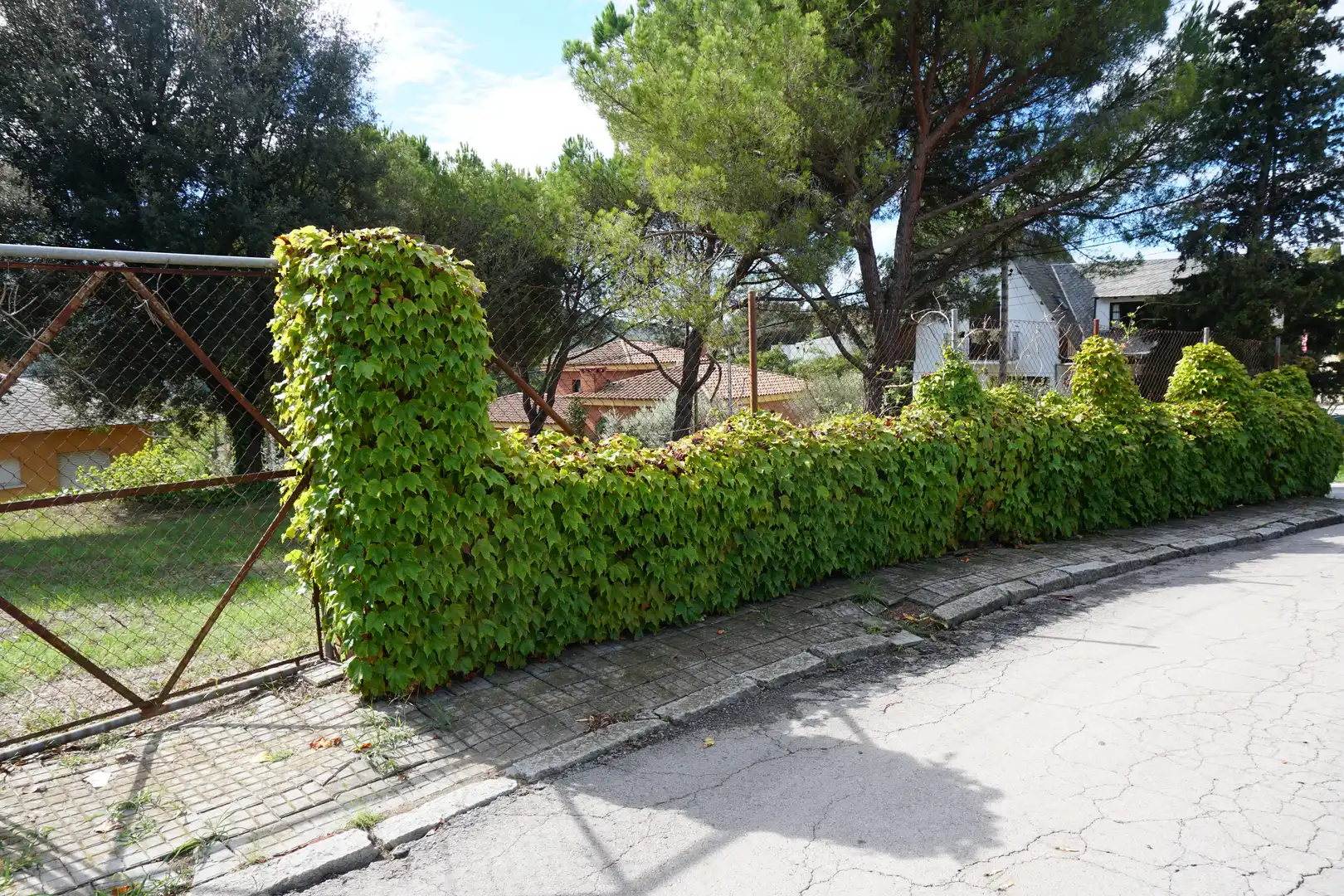Residential land for sale in Carrer Tres Pins, imagen 10