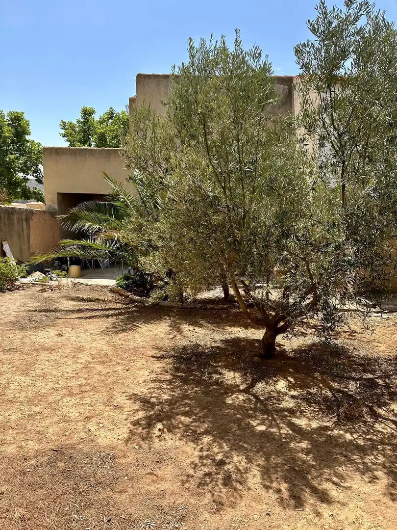 Jardí de Casa o xalet en venda en Albacete amb Traster, Moblat i Forn