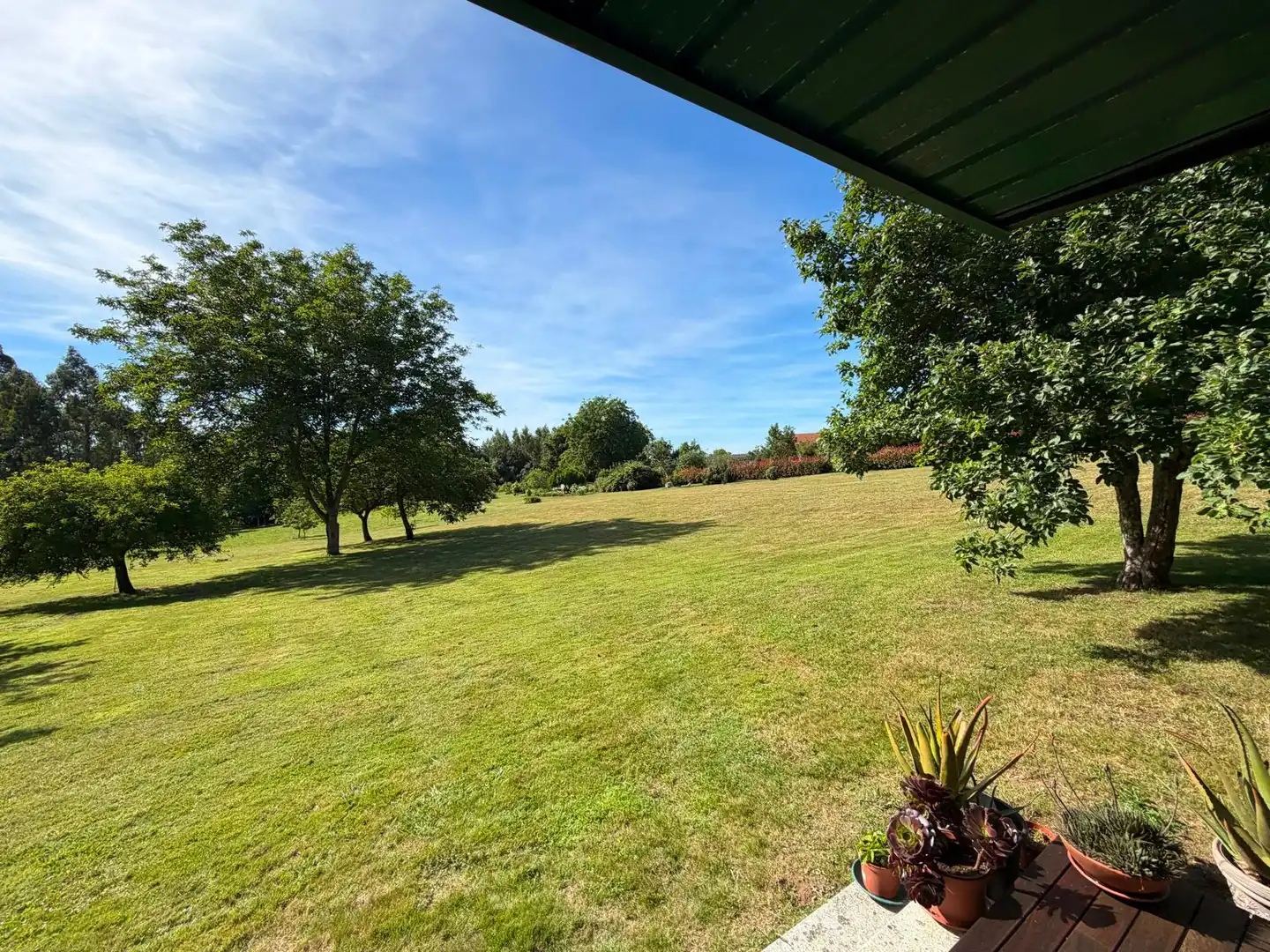 Land for sale in Fene
