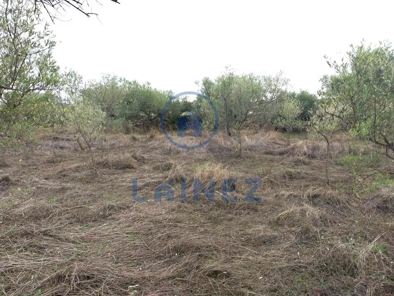 Lands and plots for sale in Fuente Obejuna, imagen 11