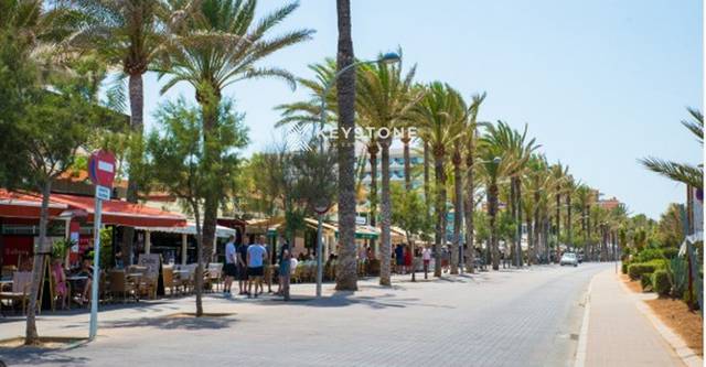 Ático en Alquiler en TIT LIVI, 9 en Can Pastilla