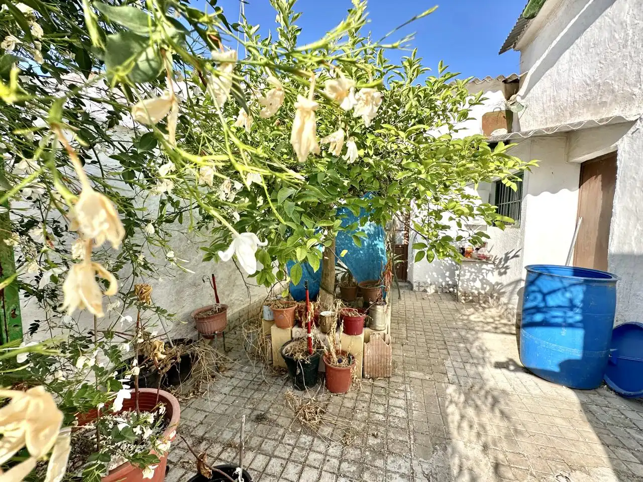 Jardí de Casa o xalet en venda en Sierra de Yeguas amb Jardí privat