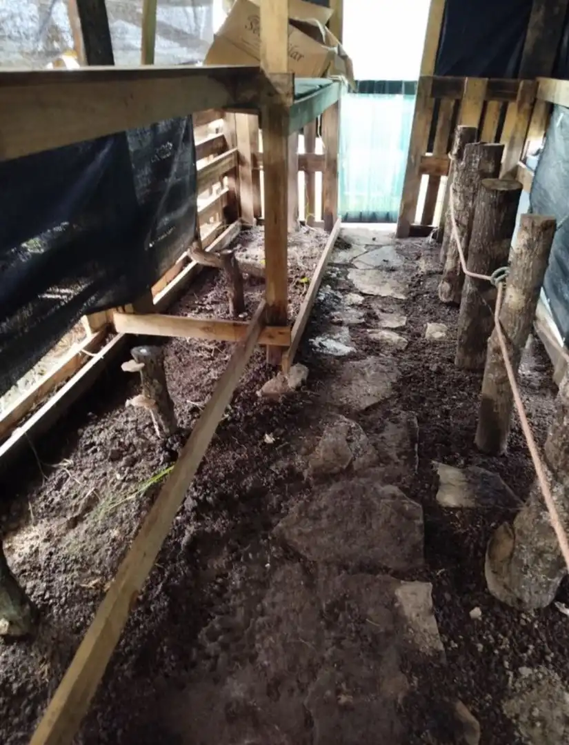 Terreno rustico in vendita a Lugar a Torre 35, imagen 5