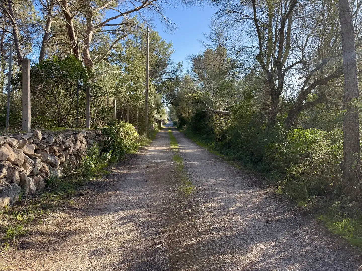 Terreni e lotti in vendita a Algaida, imagen 2