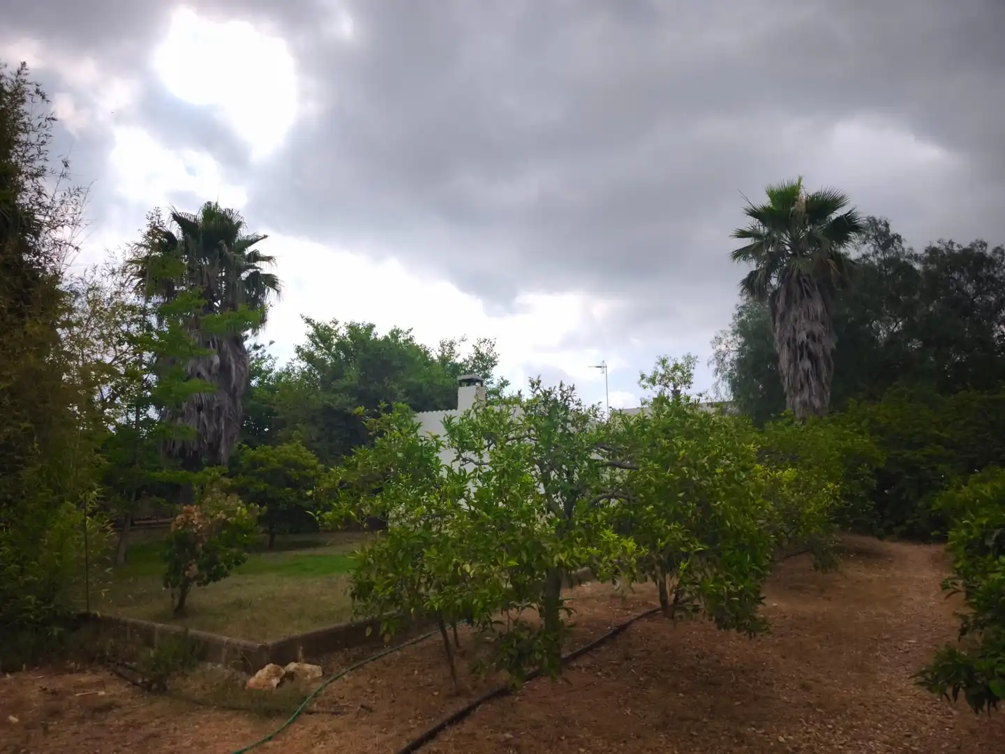 Finca rústica en venda en Masdenverge amb Jardí privat, Traster i Moblat