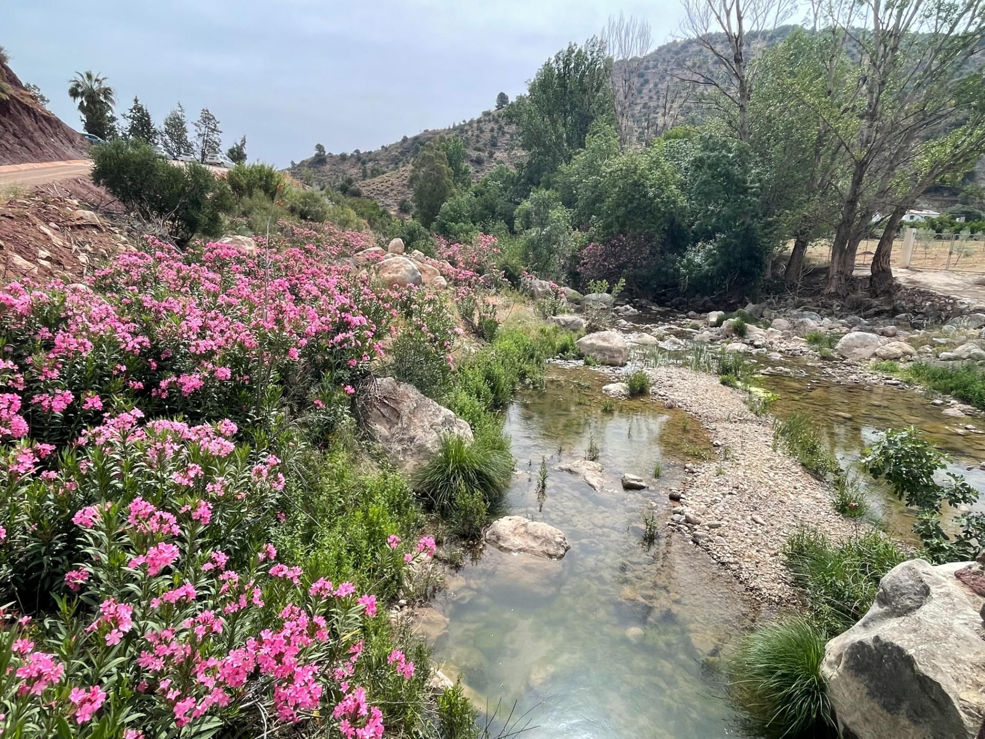 Vista exterior de Casa o xalet en venda en Ardales amb Calefacció, Jardí privat i Traster