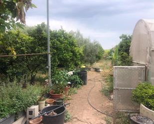 Finca rústica en venda en Elche / Elx amb Terrassa i Piscina