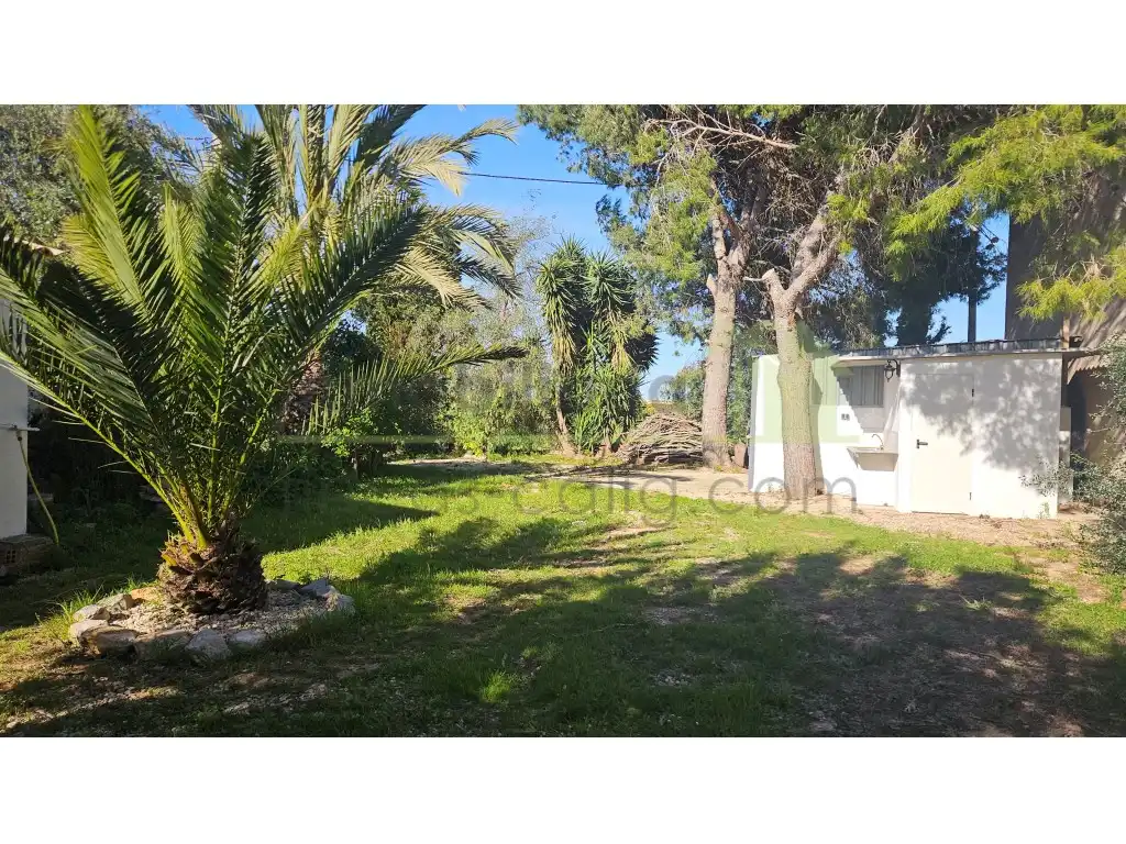 Jardí de Casa o xalet en venda en Benicarló amb Jardí privat, Terrassa i Forn