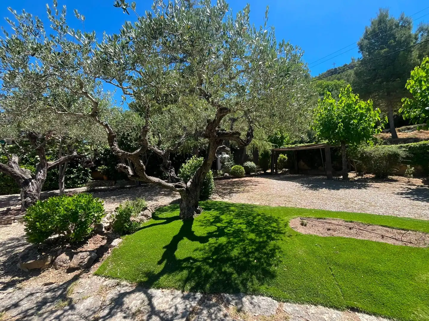 Jardí de Casa o xalet de lloguer en Gelida amb Jardí privat, Traster i Piscina