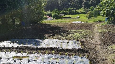 Foto 3 de Finca rústica en venda a Barrio Sámano, Sámano, Castro-Urdiales