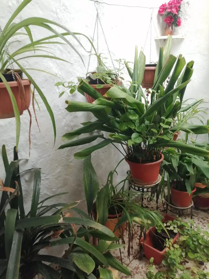 Terreni e lotti in vendita a Castillo de Locubín, imagen 17