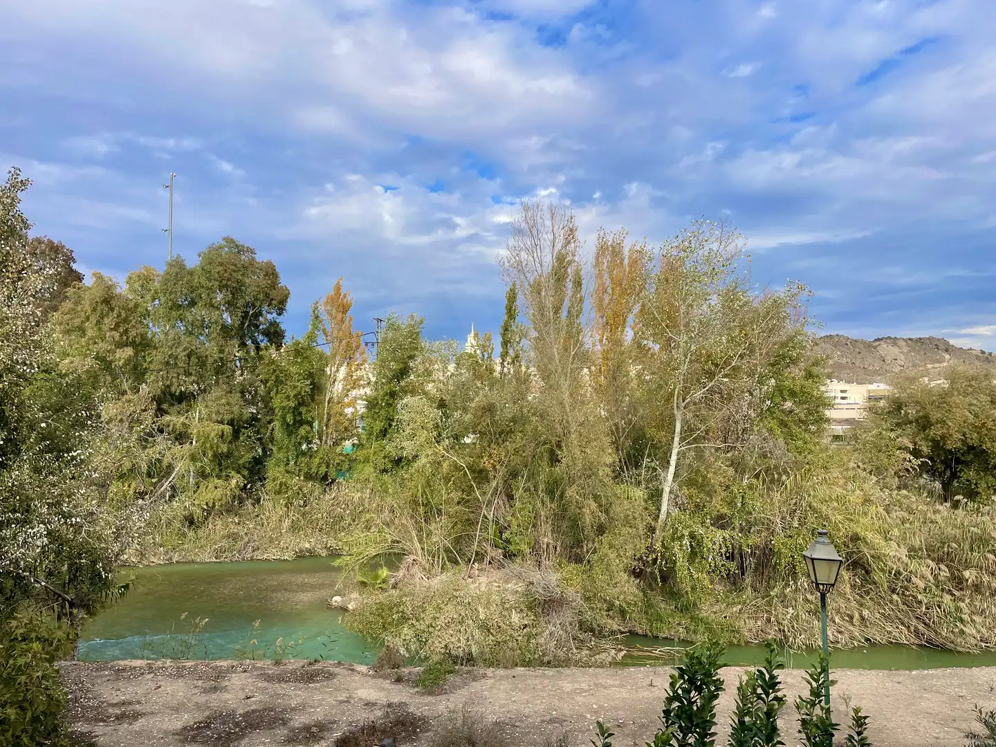 Casa en venta en Abarán, imagen 6