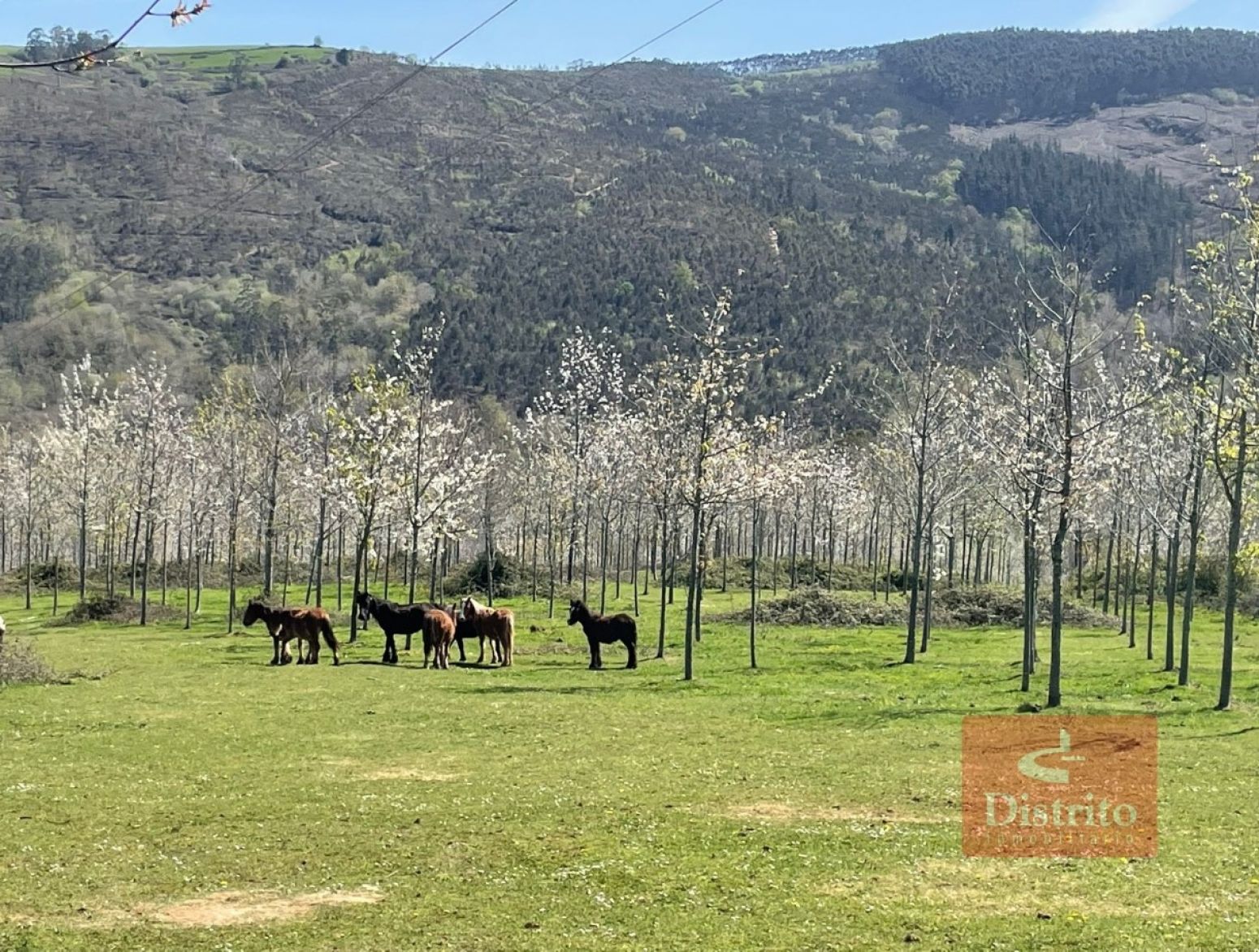 Außenansicht von Residential zum verkauf in Valdáliga