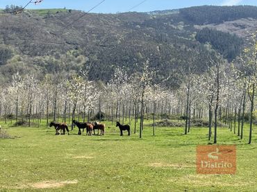 Terreny rústic en venda a Valdáliga - barrio la herrería