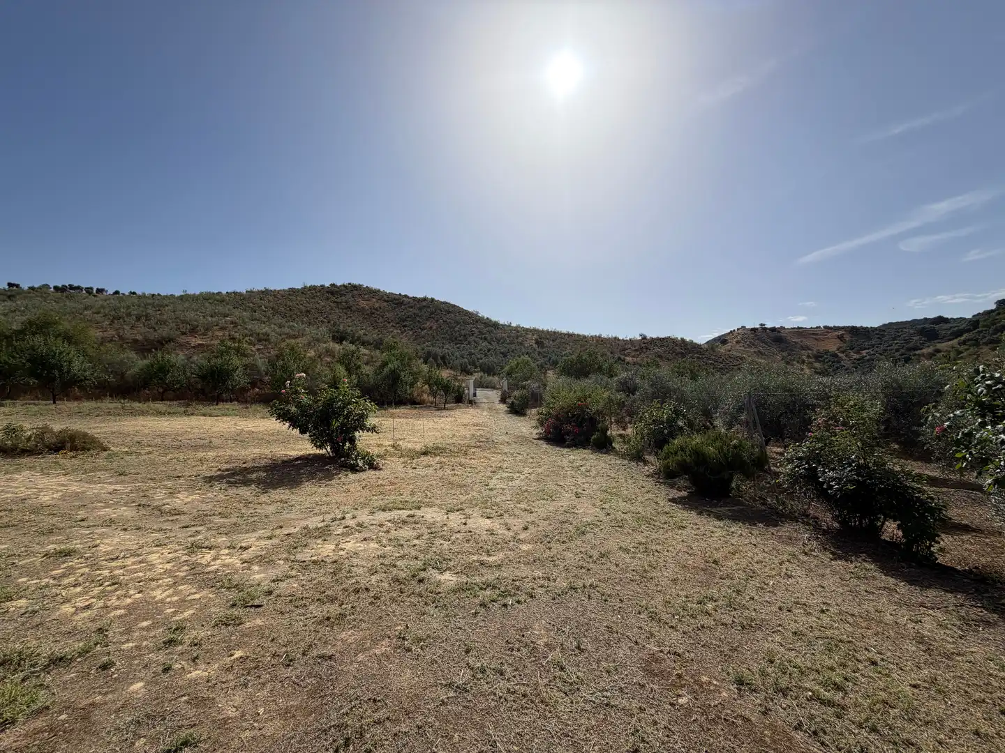 Finca rústica en venta en Iznájar con Jardín privado y Terraza