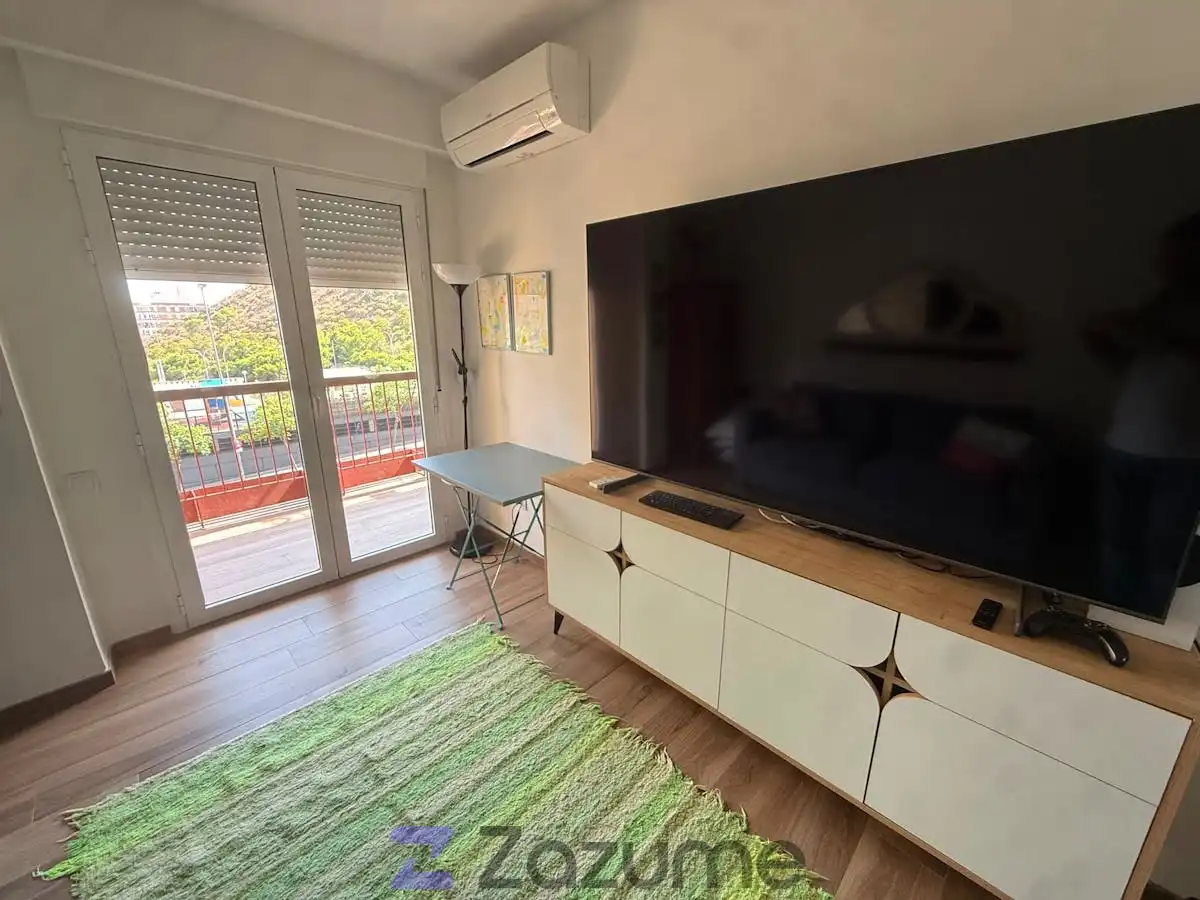 Living room of Flat for rent in Alicante / Alacant  with Air Conditioner, Terrace and Furnished