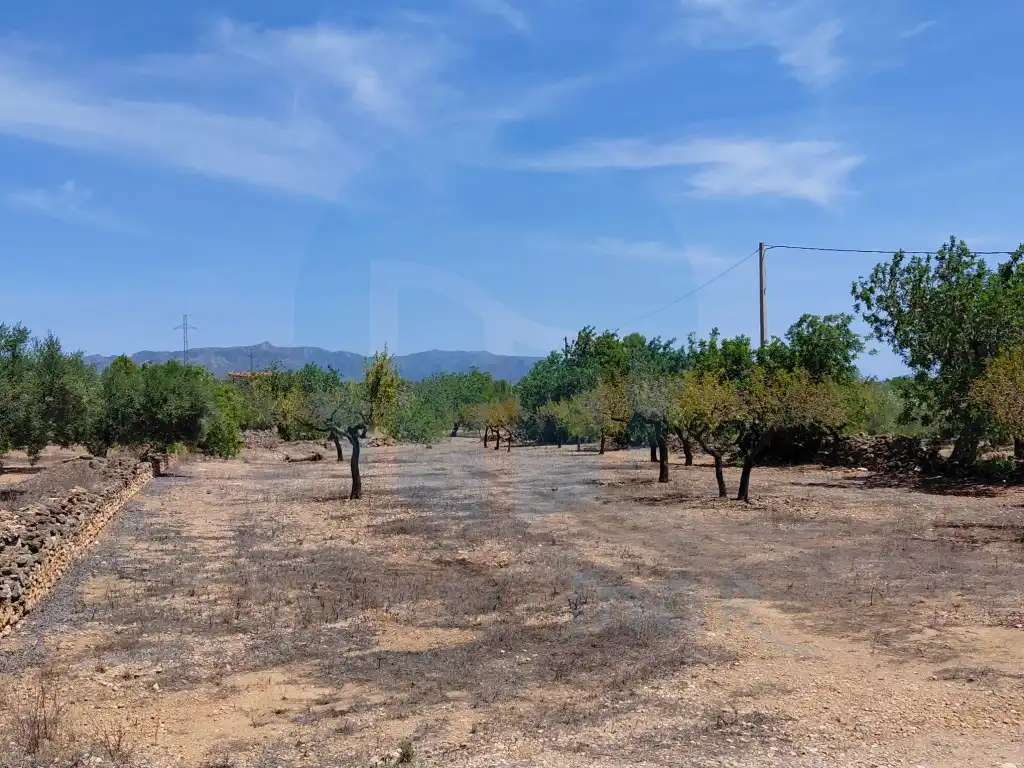 Casa rústica en venta en El Perelló, imagen 11