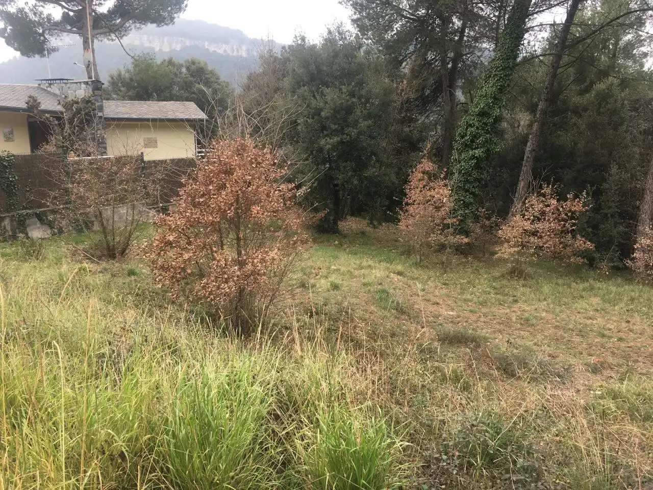 Terreni e lotti in vendita a Seva, imagen 3