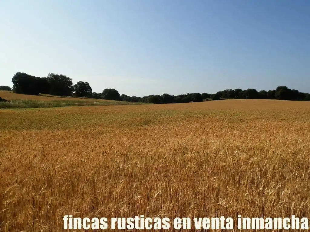 Terreno en venta en Alcaraz
