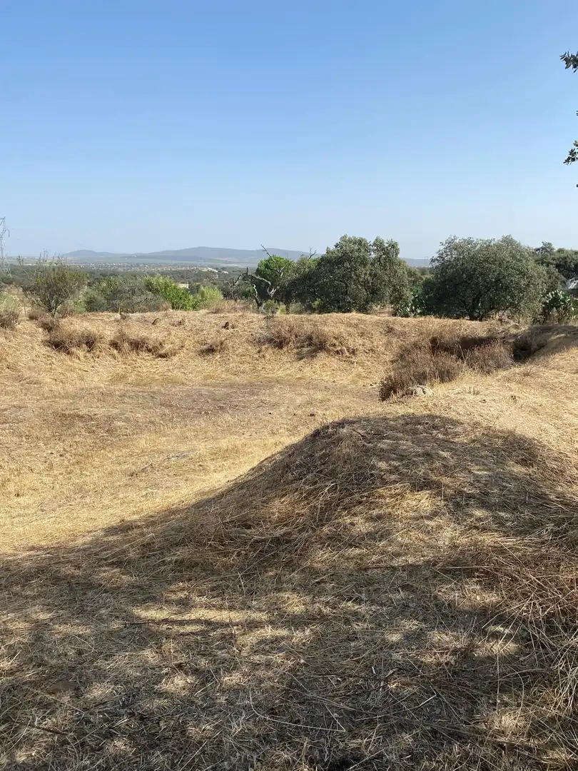 Terreni e lotti in vendita a Este, imagen 6