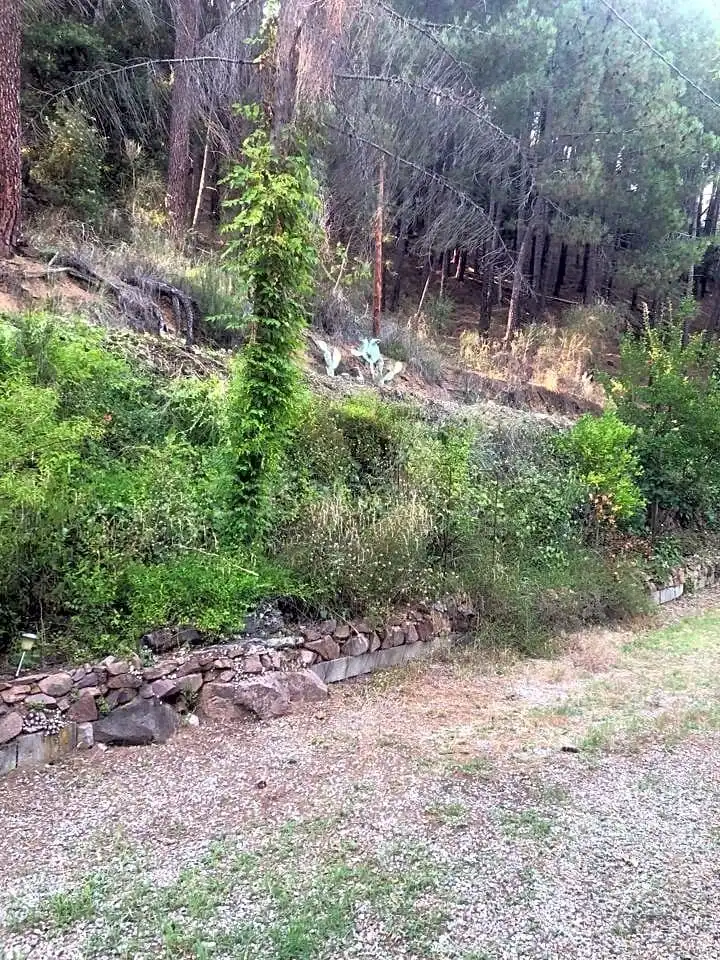 Finca rústica en venta en Arbúcies con Jardín privado, Terraza y Amueblado