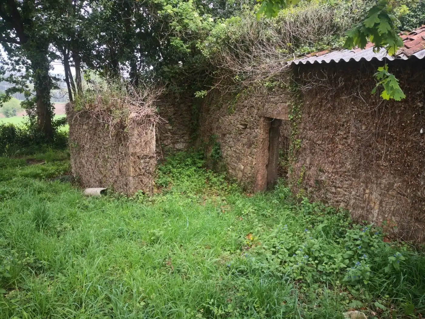 Terreni e lotti in vendita a Lugar Quintela