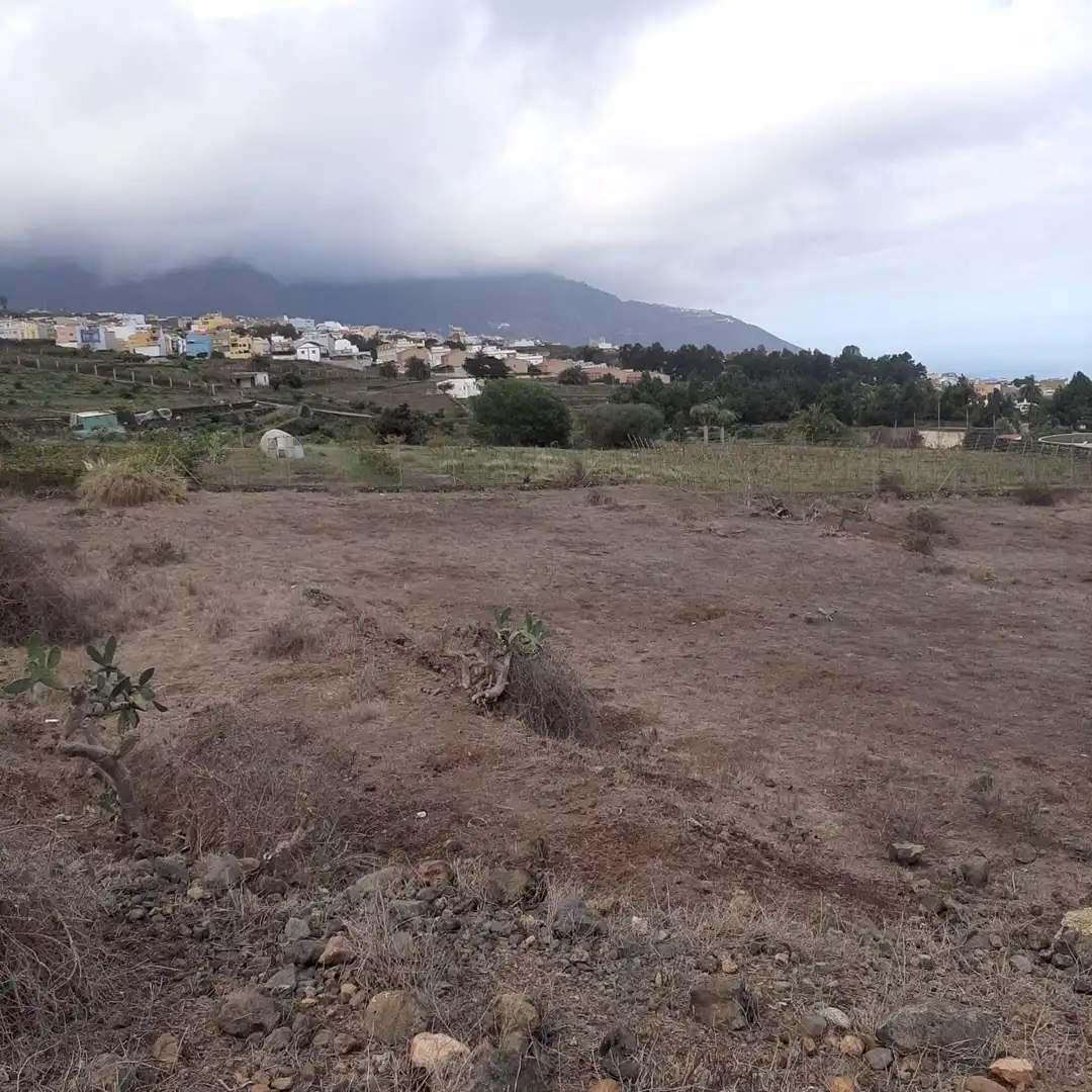 Terrain rustique à vendre à La Perdoma - San Antonio - Benijos, imagen 4