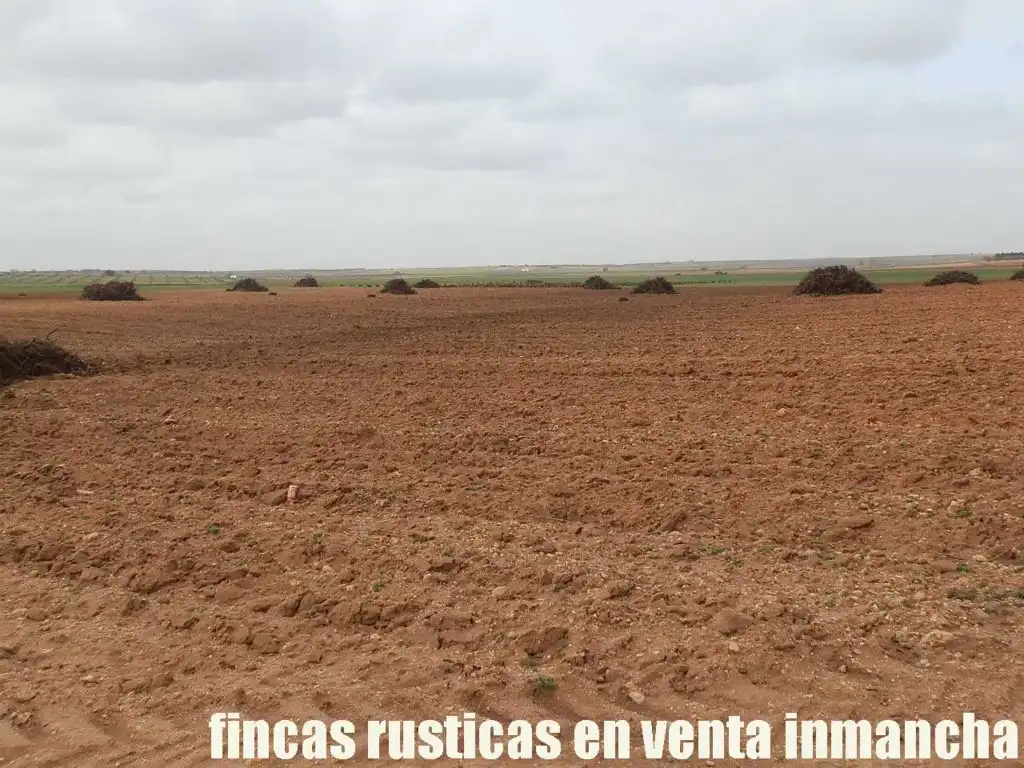 Terreno rustico in vendita a Alcázar de San Juan, imagen 14