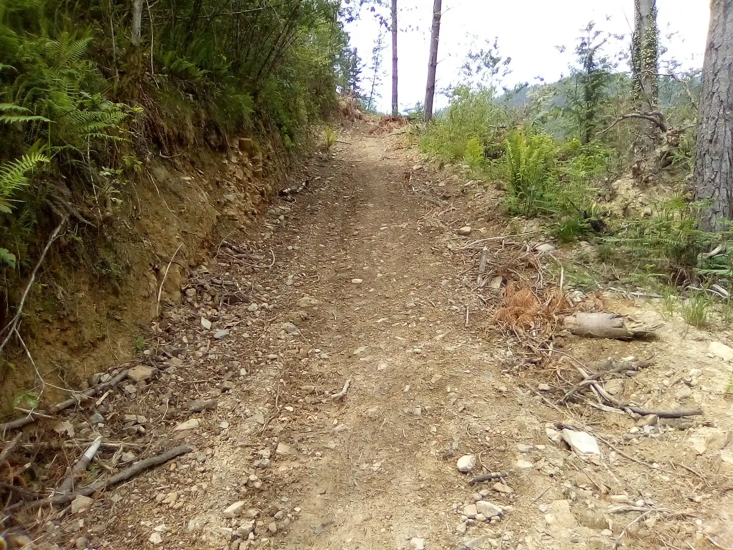 Land for sale in Aulesti