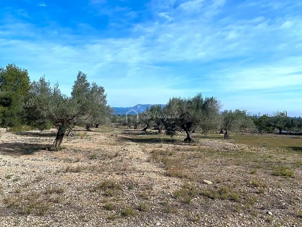 Terreno rustico in vendita a Planas, imagen 14
