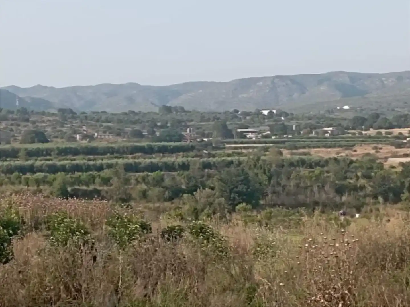 Terreno en venta en Llutxent, Valencia