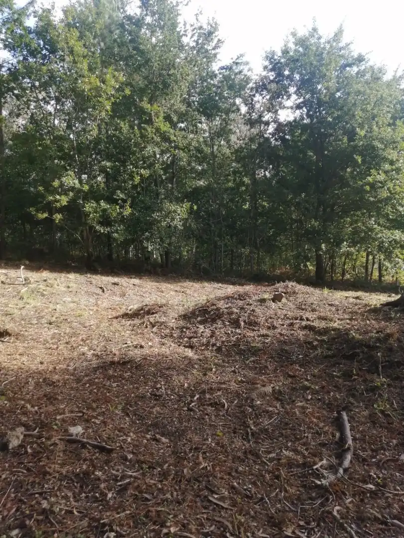Terrains et parcelles à vendre à Ponteareas, imagen 12