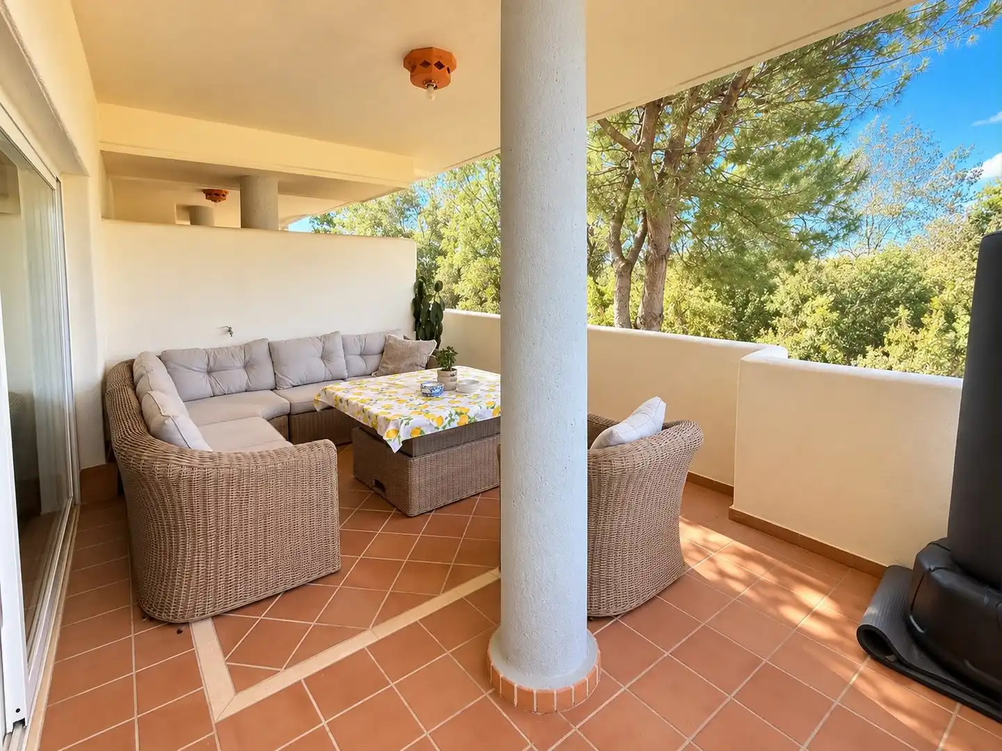 Terrace of Flat for sale in Elviria - Cabopino