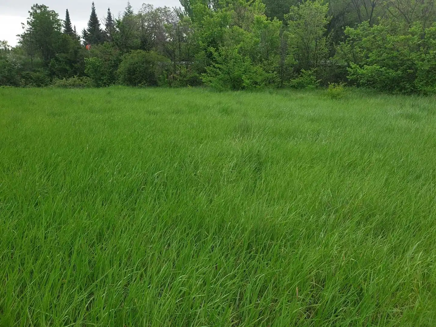 Terreno en venta en Munébrega