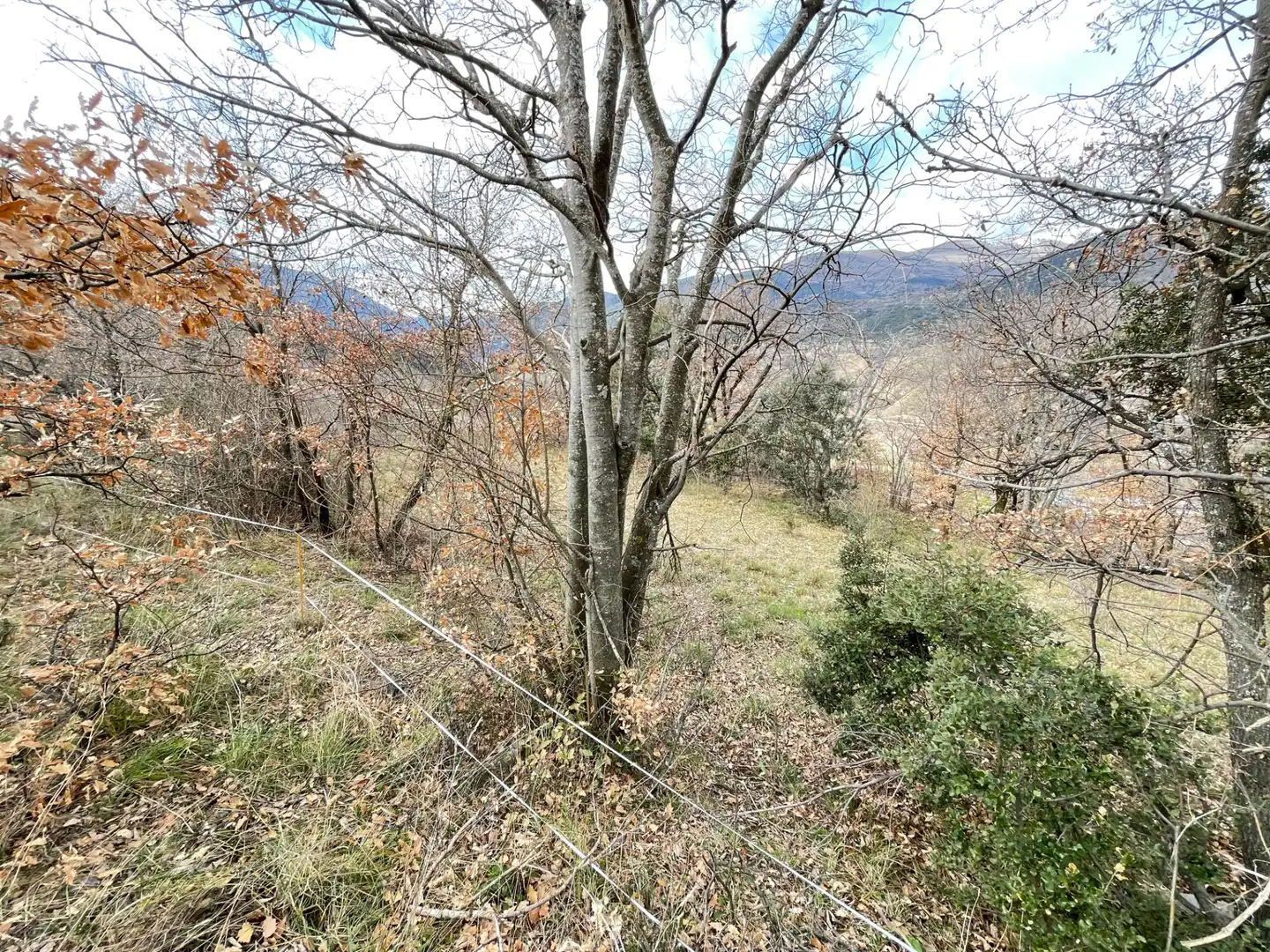 Terreno rustico in vendita a Carrer Unica, imagen 3