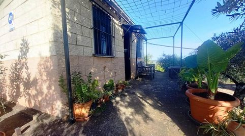 Foto 3 de Finca rústica en venda a El Pedroso, Sevilla
